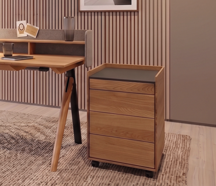 Büro Rollkorpus Pisa